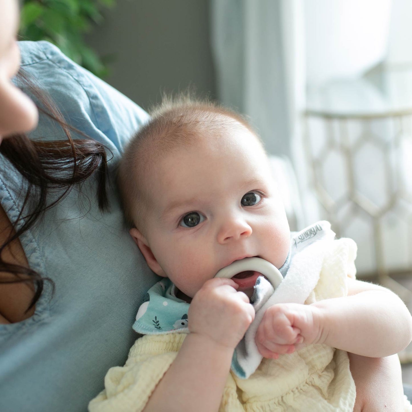 Dr. Brown's™ Bandana Bibs with Removable Teether