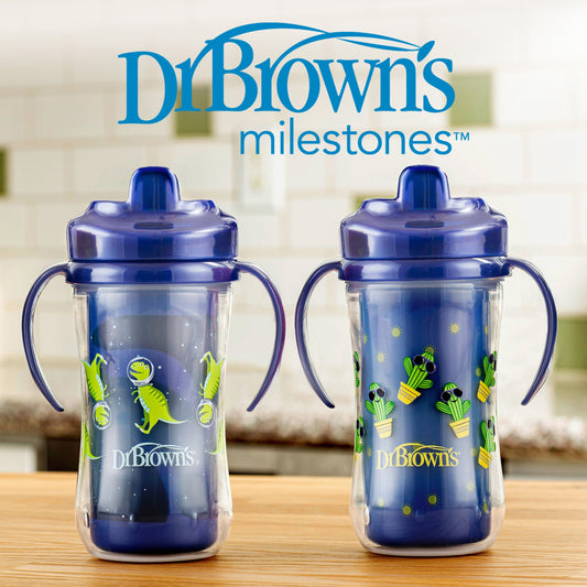 Dr. Brown’s Milestones™ Insulated Hard Spout Sippy Cup, 2-Pack